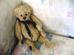 bear tramp face_02